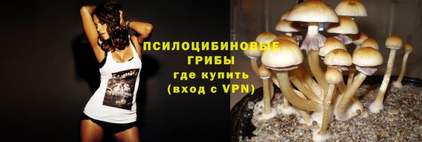 сатива Алексеевка