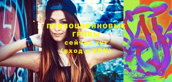 сатива Алексеевка