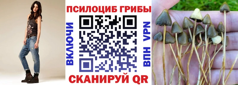 Псилоцибиновые грибы прущие грибы магазин Нижний Новгород