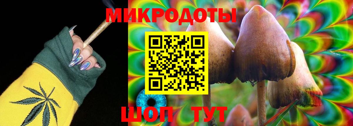 Нижний Новгород  Псилоцибиновые грибы Psilocybe  Вход с VPN  Галлюциногенные грибы мицелий 